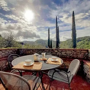 Vinci Gaiole in Chianti
